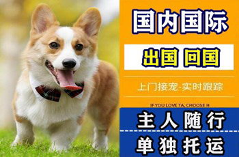 连江县宠物托运公司连江县宠物托运公司连江县宠物托运公司