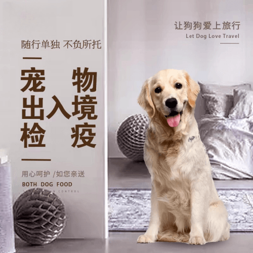 连江县宠物托运到哥伦比亚猫狗宠物入境规定和
