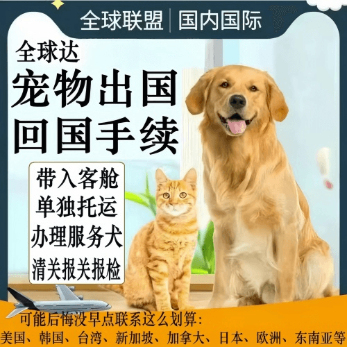 连江县宠物托运到柬埔寨宠物入境规定和要求