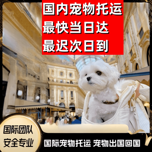连江县到澳大利亚（澳洲）宠物入境规定和要求